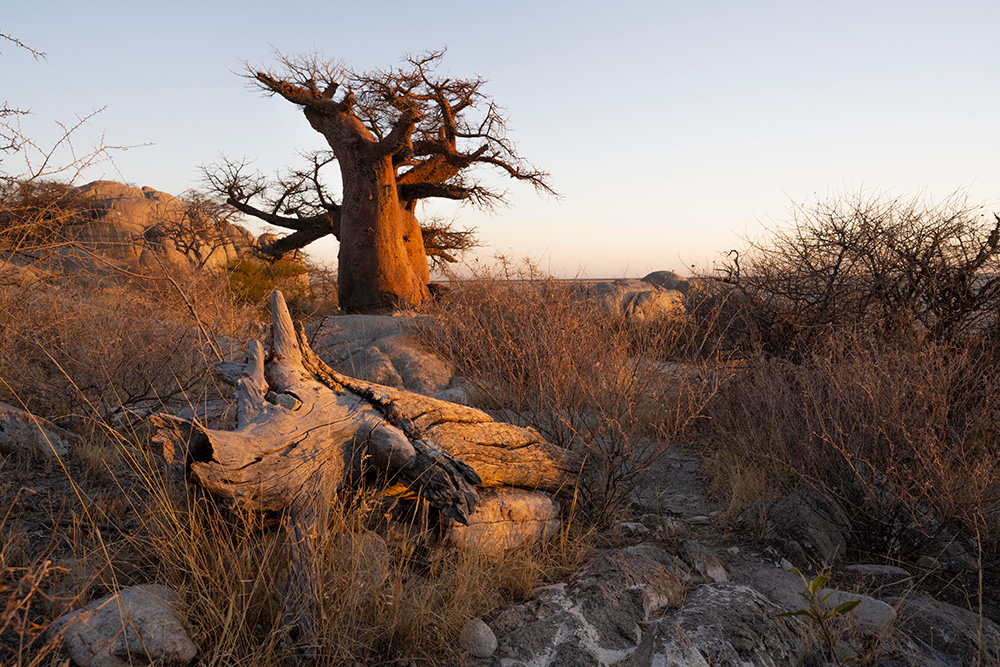 Kubu Island as the sun rises