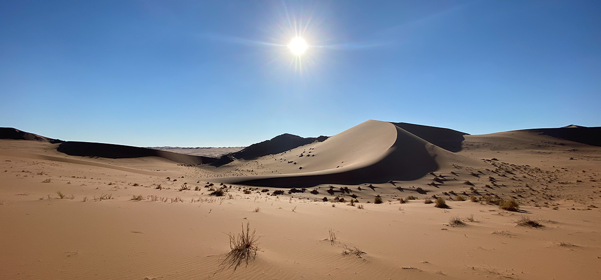 Namibian desert