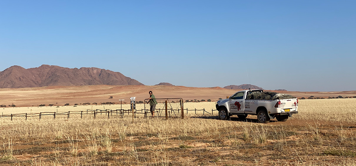 The Gate, entering the desert