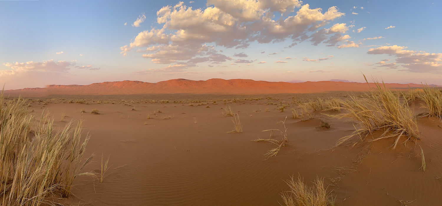 Namibian desert